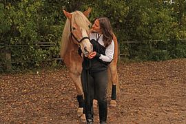 Photoshooting with light brown Haflinger with beige mane
