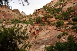 Enjoying the Zion overlook by Frank's Awesome Travels