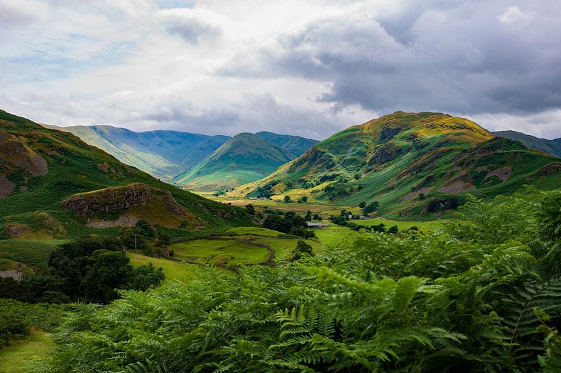 50 shades of green by Hans Vellekoop