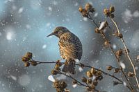Star auf einem Hibiskus im Schnee