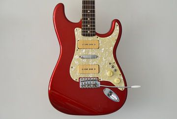 Modified Fender Stratocaster van Branko Kostic