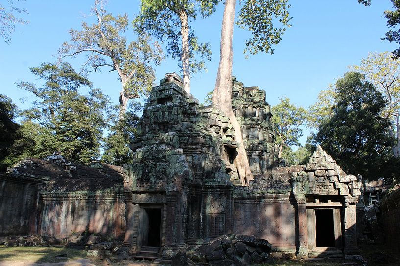 Grabräuber Ta Prohm von Sven Hilderink