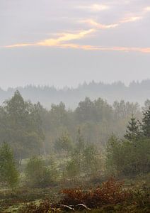 vallée brumeuse sur Tania Perneel