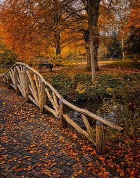 herfst bruggetje van peterheinspictures