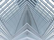 Lines of a roof as abstract van Brian Morgan thumbnail