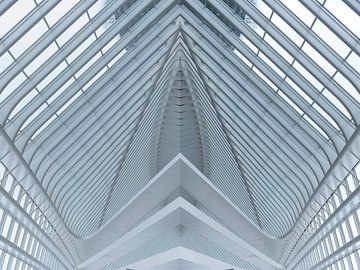 Lines of a roof as abstract van Brian Morgan