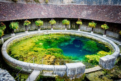 Fosse Dionne in Tonnerre