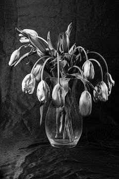 Stilleven van Tulpen in glazen vaas van Roland de Zeeuw fotografie