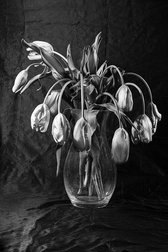 Stilleven van Tulpen in glazen vaas