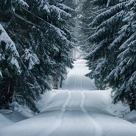 Forêt d'hiver sur Ronny Rohloff