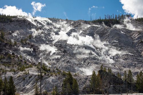 De dampende heuvels van Yellowstone