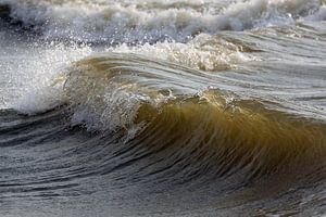 Une vague entrante
