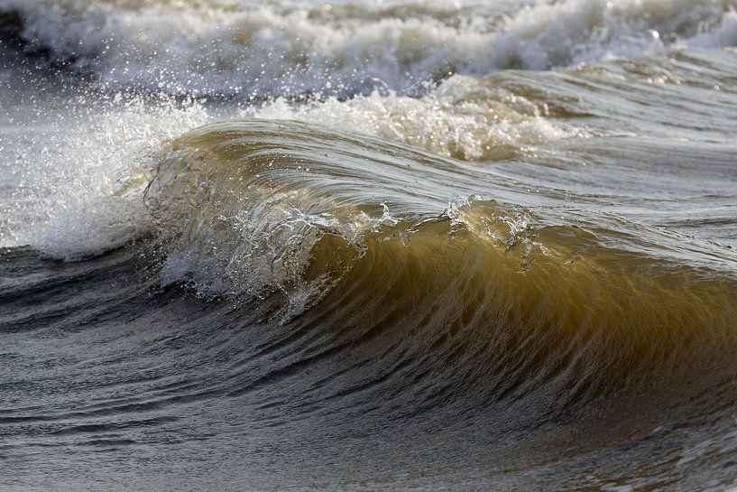Une vague entrante par Ronald Pol