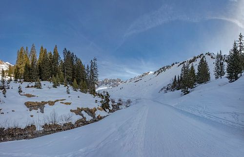 Besneeuwd dal in de Prättigau, Sankt Antönien, Graubünden, Zwitserland