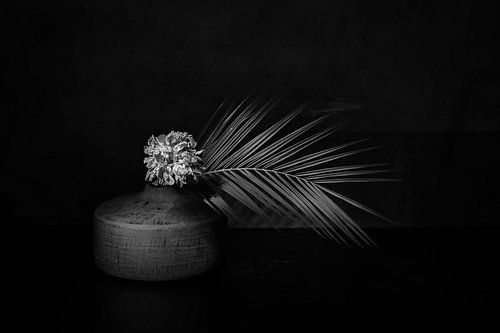 Still life with peony flower. Fine art . B&W.