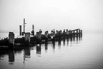 Nebelbank