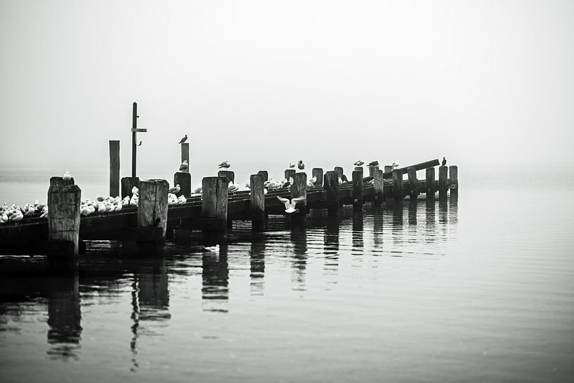 Banc de brouillard par Thomas Riess