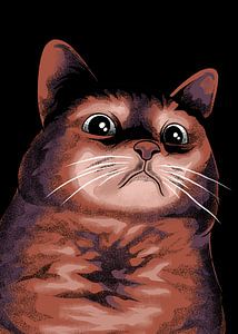 Pathetische Katze Meme