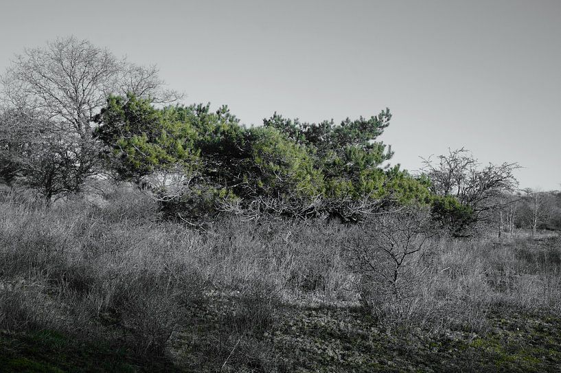 winter by Madeltijntje