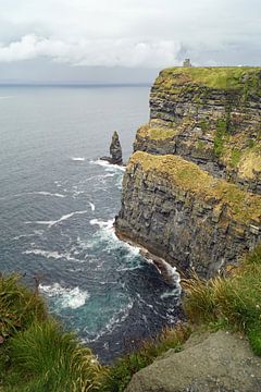 Cliff's of Moher - Irland