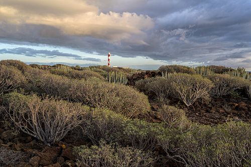 Tenerife’s quiet coastline in the evening light