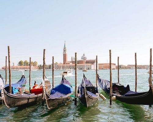 Gondolas docked in Venice