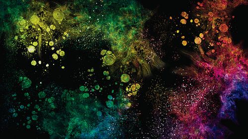 Une explosion de couleurs sur Plus Passie