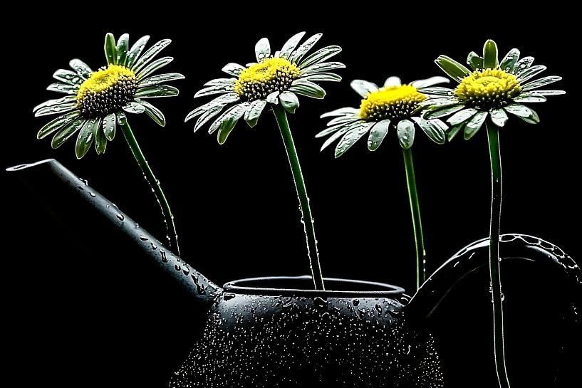 Fleurs dans un arrosoir avec des gouttes par Art & Soul Creations