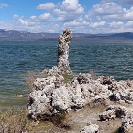 Kalksteen tufsteen formaties bij Mono Lake van Christiane Schulze