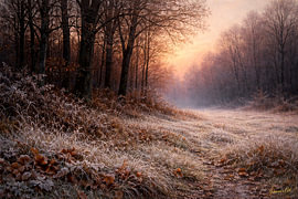 Pinselstriche der Wildnis – Der erste Frost von Johannas Art Creations