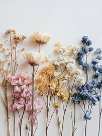 Getrocknete Wildblumen von IamHomeStudio