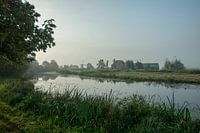Natuur in de ochtend
