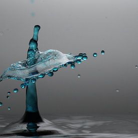 Drop photography  by Toin Crutzen