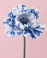 Porseleinen Bloem - Blauw Witte Papaver