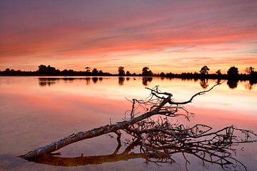 Small pond in the Aekingerzand by John Leeninga