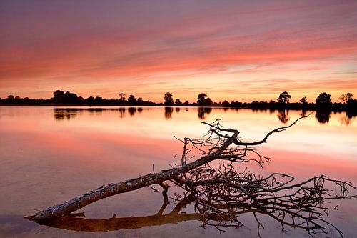 Vennetje in het Aekingerzand