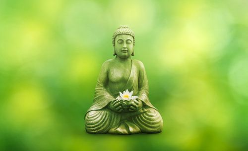 buddha in spring with lotus blossom