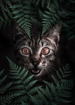 Neugierige Waldkatze