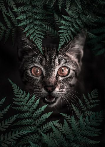 Curious Forest Cat