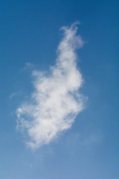 My Cloud 8 by Roy IJpelaar
