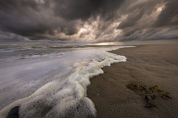 Texel beach and sea by Andy Luberti