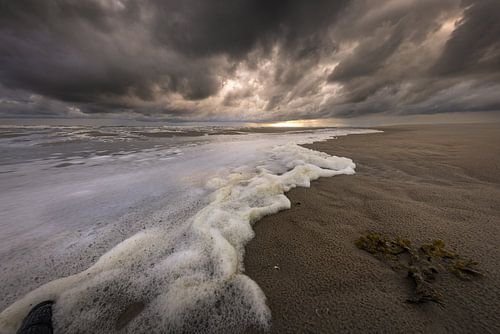 Strand und Meer von Texel