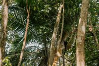Travel photography