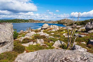 Landschap op het archipeleiland Skjernøya in Noorwegen van Rico Ködder