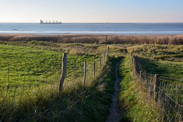 Bath, Netherlands - III by Jarne Buttiens