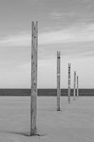 Wooden stakes on Valencia beach