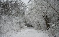 een bospad bedekt met een dik pak sneeuw van ChrisWillemsen thumbnail