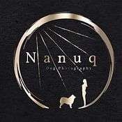 Nanuq Dog Photography profielfoto