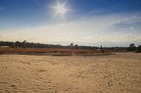 Loonse and Drunense Dunes - 1