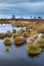 Hoge Venen / Hautes Fagnes. van Rob Christiaans thumbnail